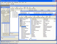 Business Applications Architect screenshot